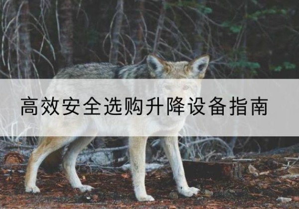 阜新升降货梯厂家推荐-*安全选购升降设备指南