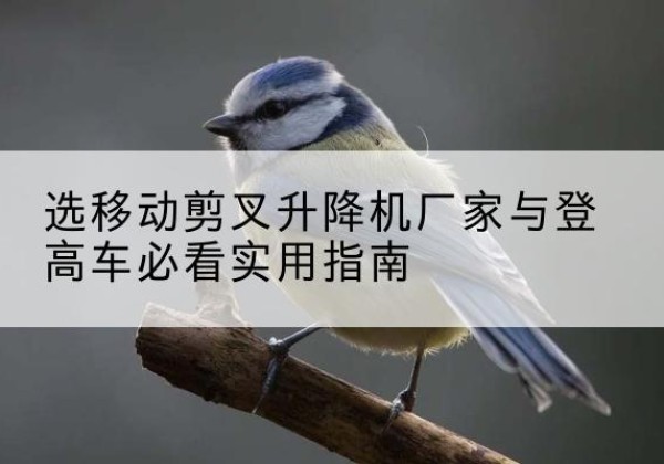 阜新电动升降机厂家-选移动剪叉升降机厂家与登高车必看实用指南